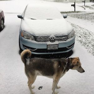 Meet your Posher, Holly